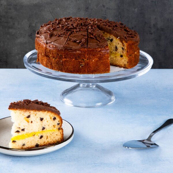 Chocolate chip cake with chocolate topping and a sliced piece.