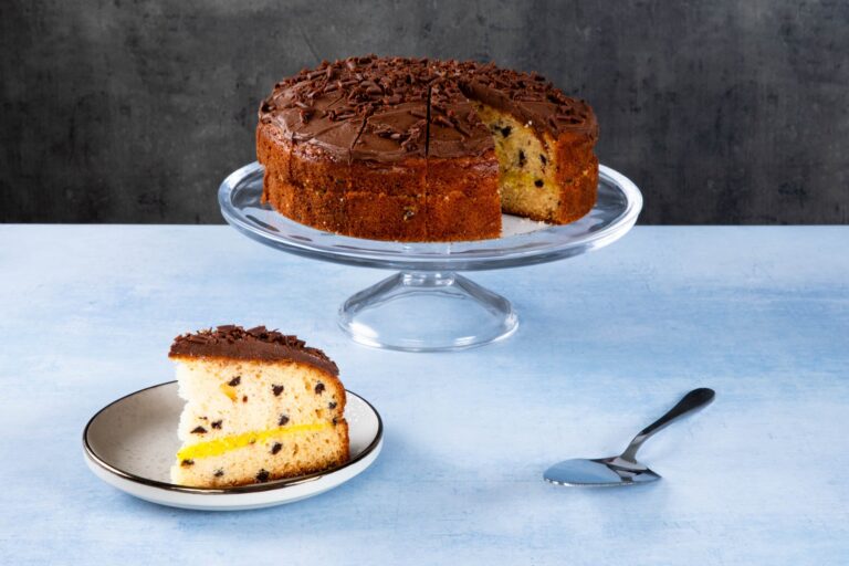 Chocolate chip cake with chocolate topping and a sliced piece.